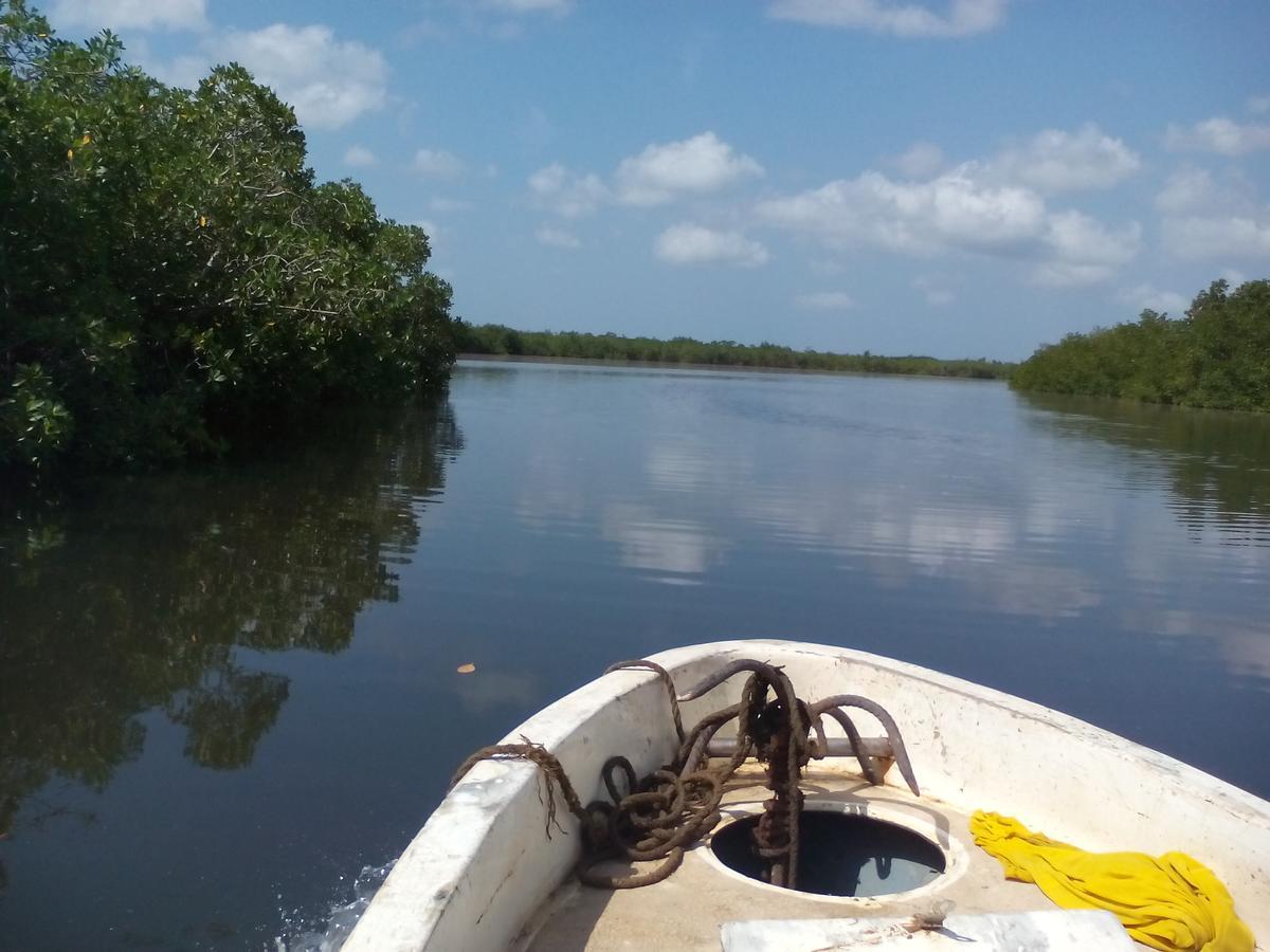 Diakene Ouolof Centre Touristique Et Culturel Casamance 게스트하우스 외부 사진